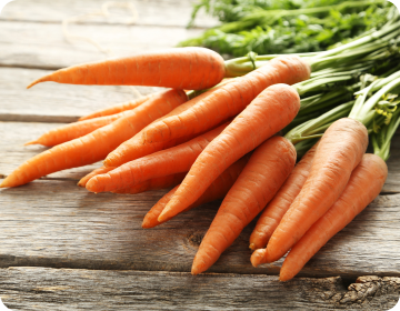 Carottes
