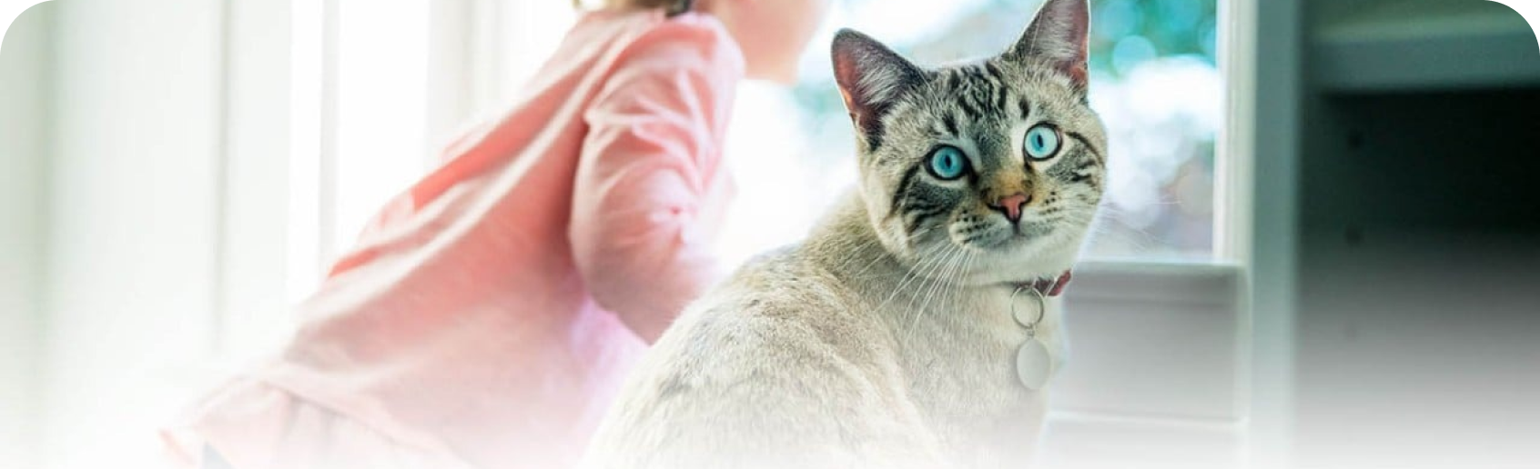 Chat assis à côté d’un jeune enfant