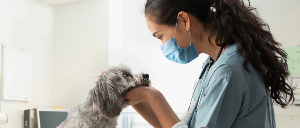 Une femme qui caresse un chien gris et noir