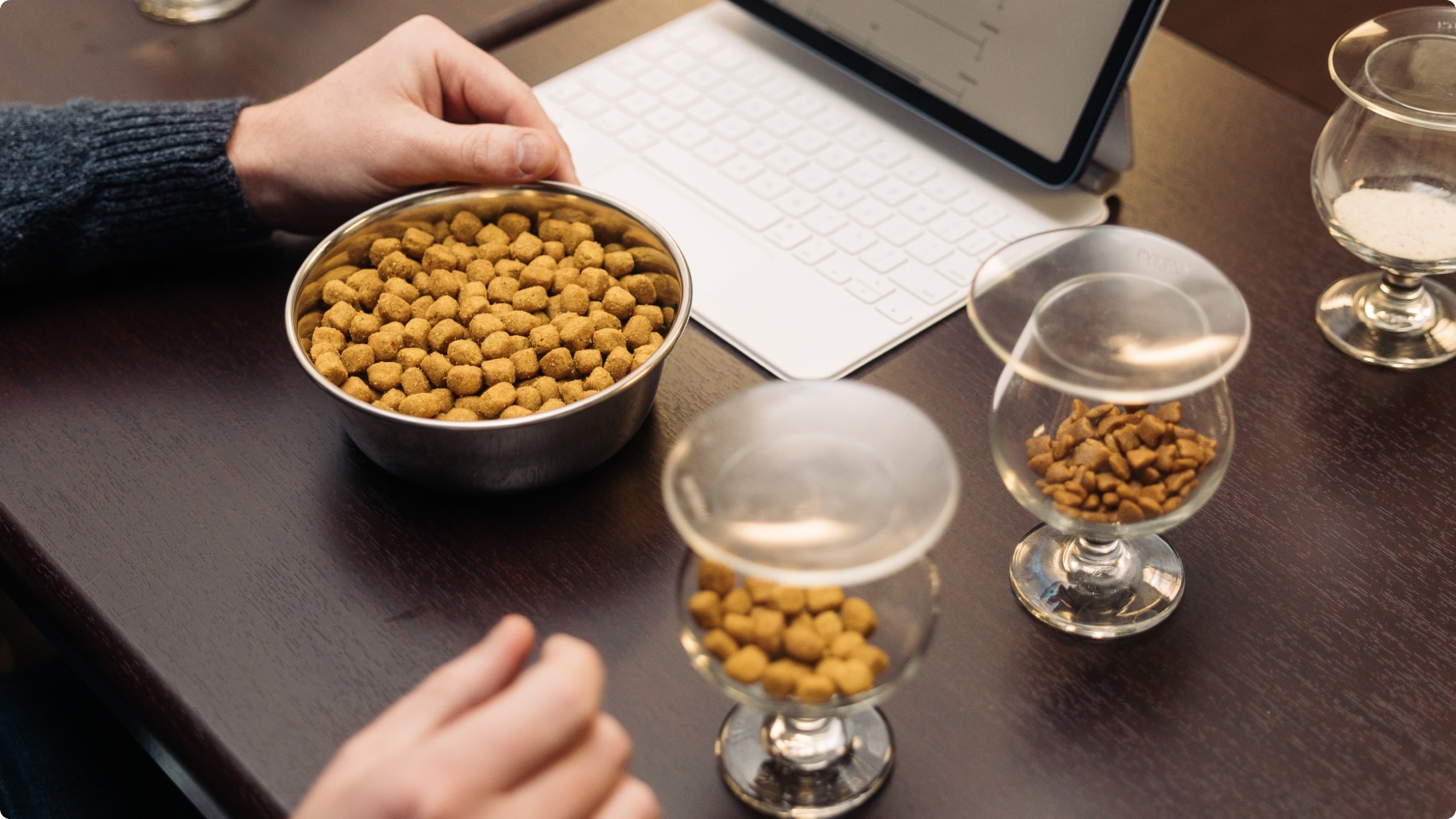 Membre de l’équipe de recherche de Hill’s testant différentes tailles de croquettes