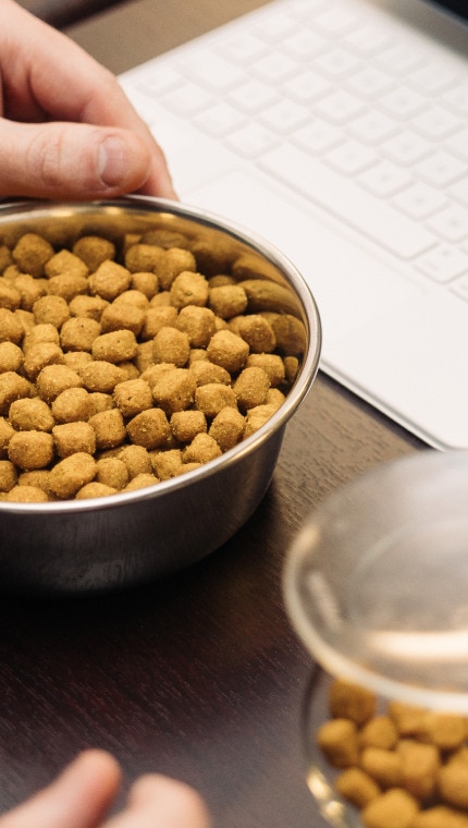 Membre de l’équipe de recherche de Hill’s testant différentes tailles de croquettes