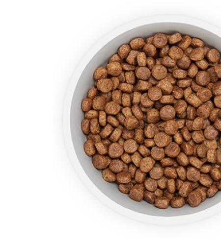 Nourriture pour chiens