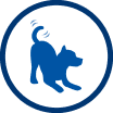 Énergie