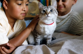 Enfants flattant un chat