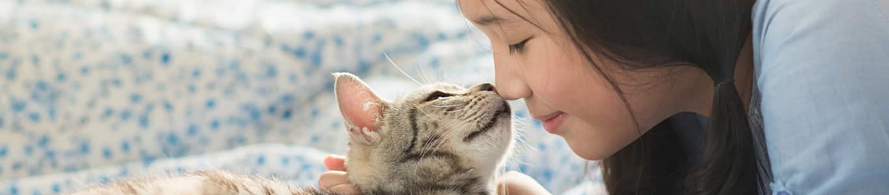 young asian girl nose nuzzling cat