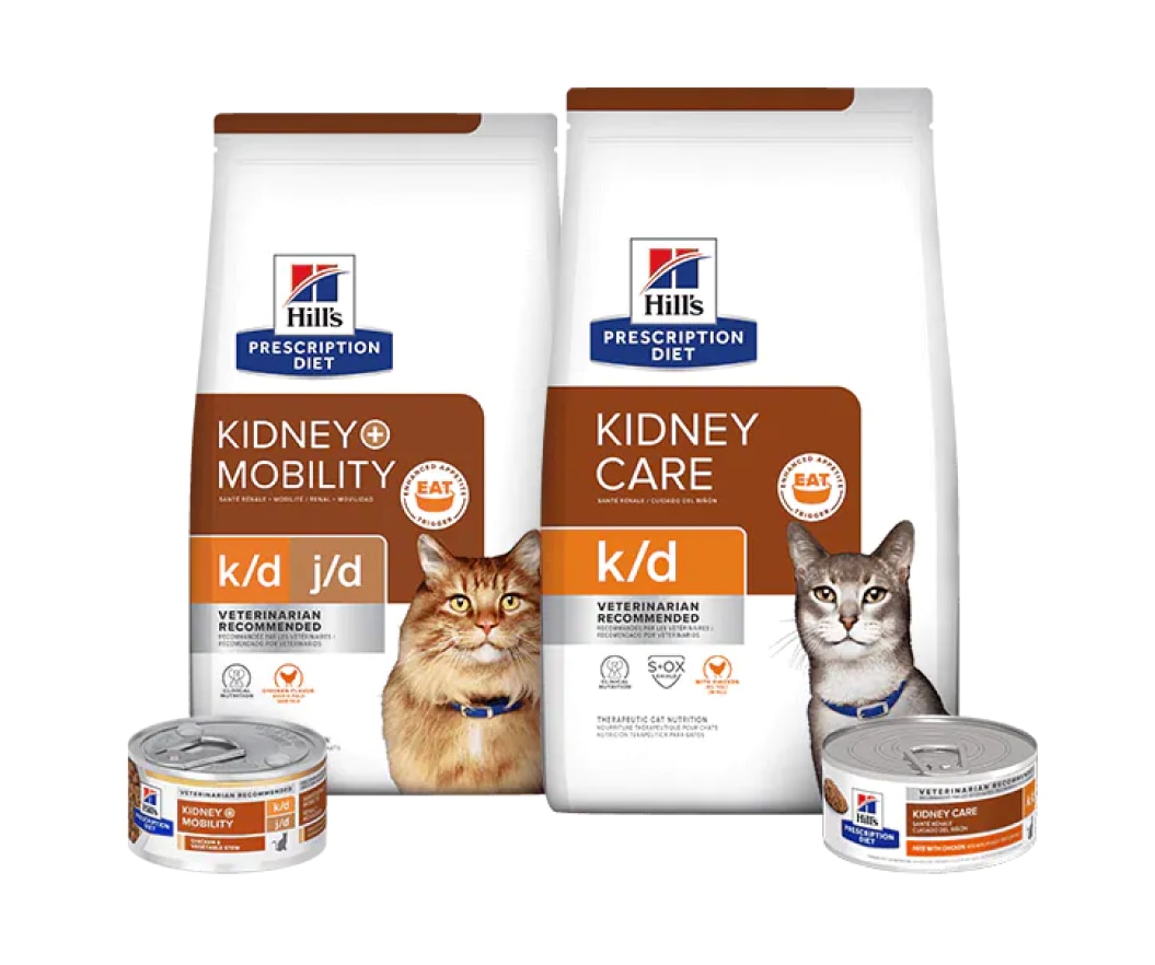 Nourriture pour soins rénaux pour chats