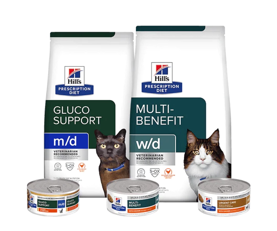 Nourriture Prescription Diet pour chats