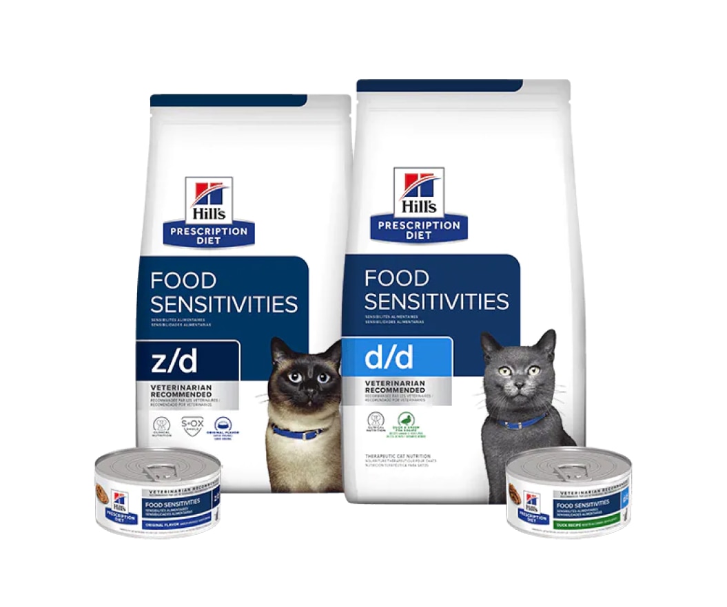 Nourriture pour soins cutanés pour chats