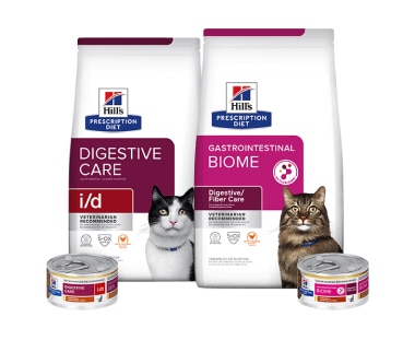 Nourriture Prescription Diet pour soins digestifs pour chats