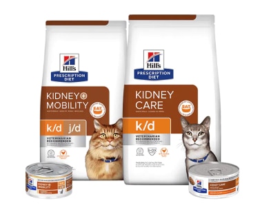 Nourriture pour soins rénaux pour chats