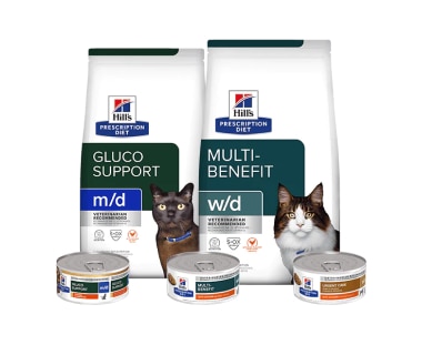 Nourriture Prescription Diet pour chats
