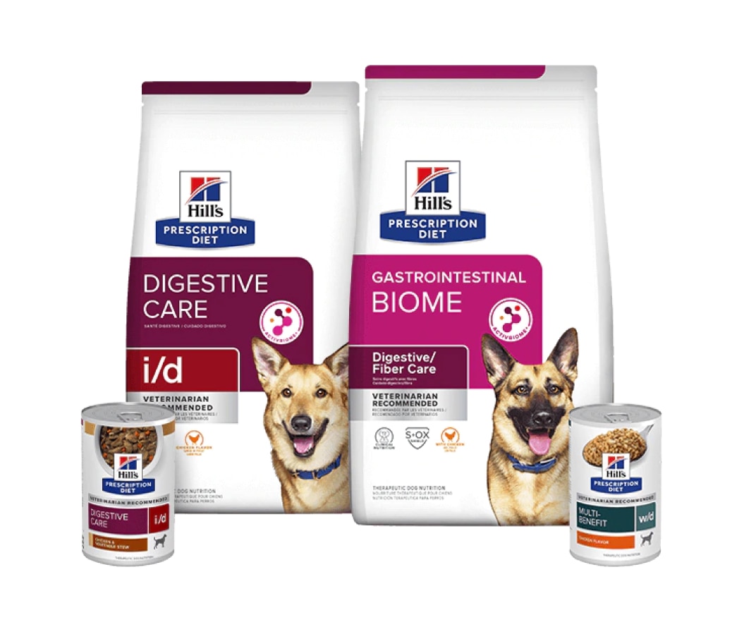 Nourritures pour chiens Prescription Diet pour les soins digestifs