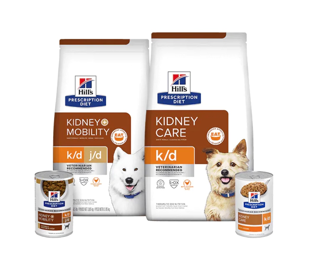 Nourritures pour chiens pour les soins rénaux