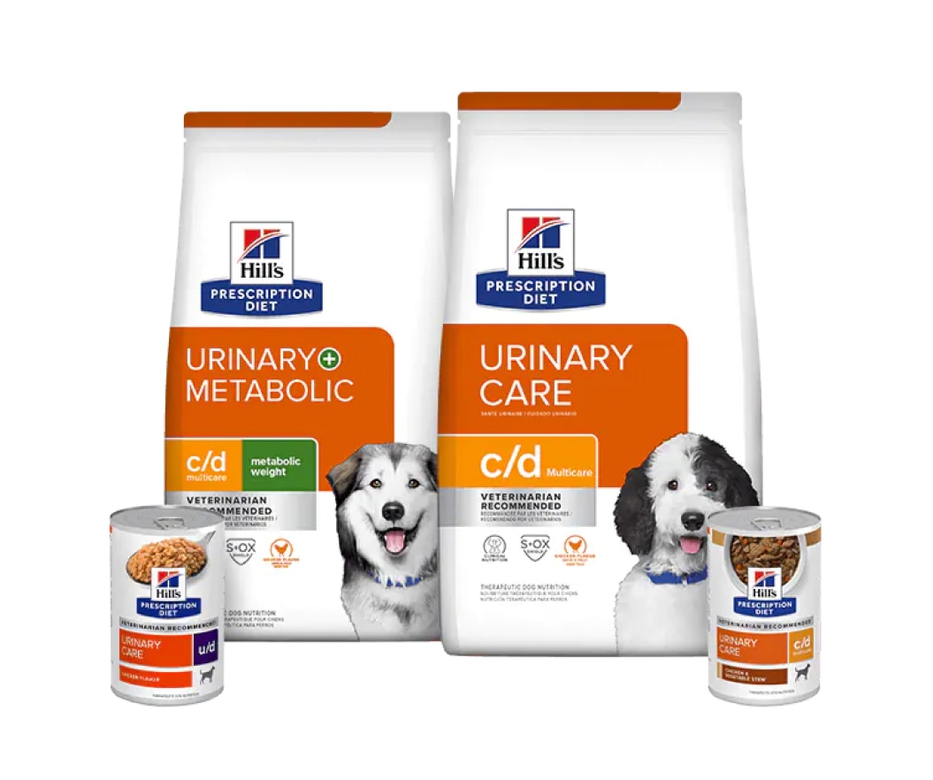 Nourritures pour chiens pour les soins urinaires