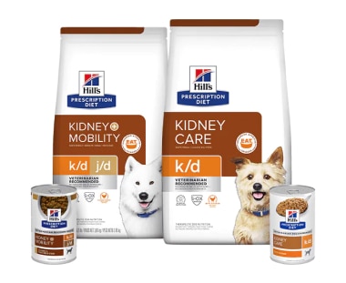 Nourritures pour chiens pour les soins rénaux