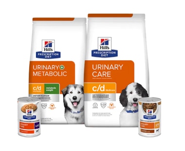 Nourritures pour chiens pour les soins urinaires