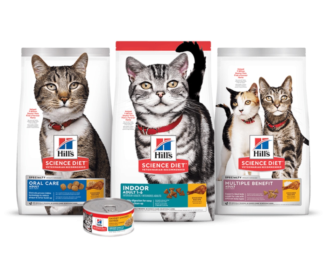 Science light oral care, nourriture pour chats d'intérieur et à bénéfices multiples