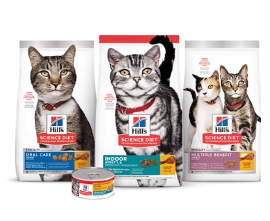 Science light oral care, nourriture pour chats d'intérieur et à bénéfices multiples