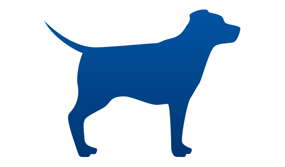 chien ayant un poids idéal