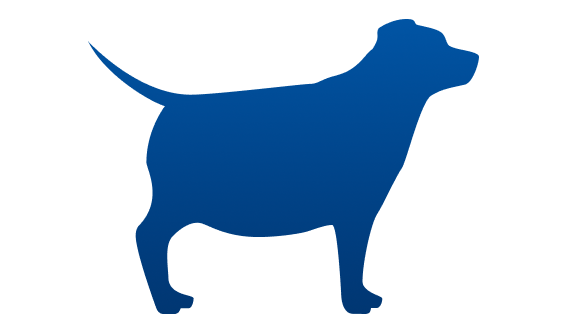 Chien en surpoids