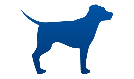 chien ayant un poids insuffisant