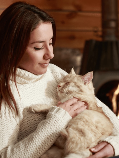 La Dame au chat