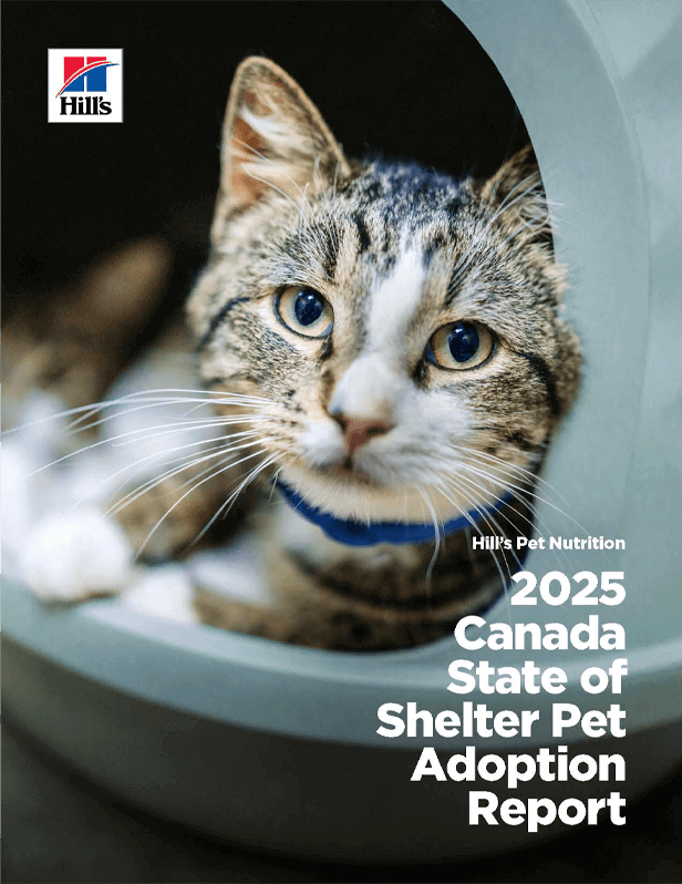 2025 Canada state of shelter pet adoption report