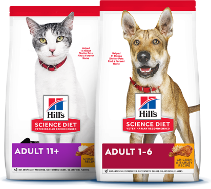 paquets de nourriture Science Diet pour chats et chiens