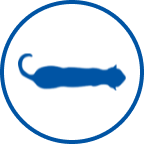 Icône de chat en bonne santé