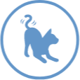 Icône de chat actif