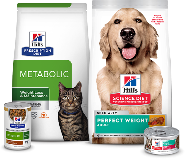 Nourriture sèche Métabolique et nourritures sèches et humides Poids parfait pour chats adultes