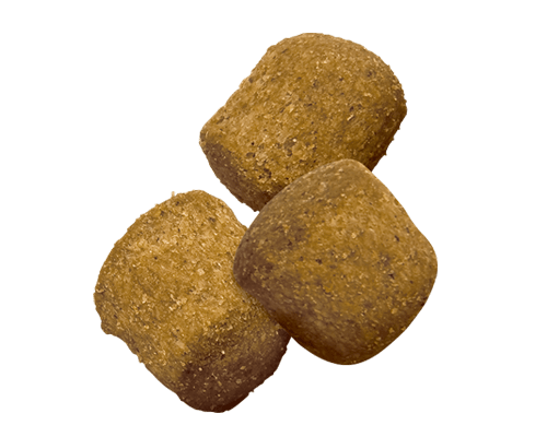 ha-canine-adult-oral-plus-dry