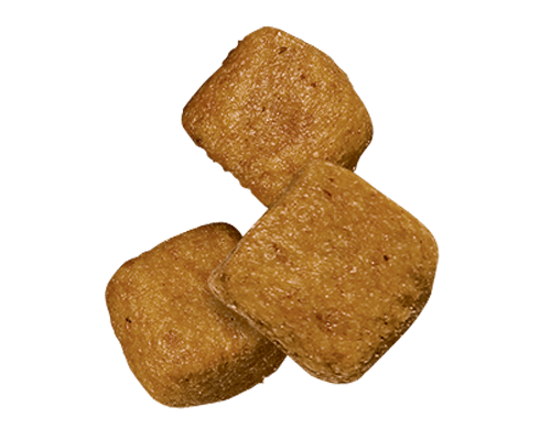 ha-feline-adult-oral-plus-dry