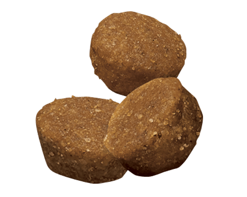 ha-puppy-large-breed-dry