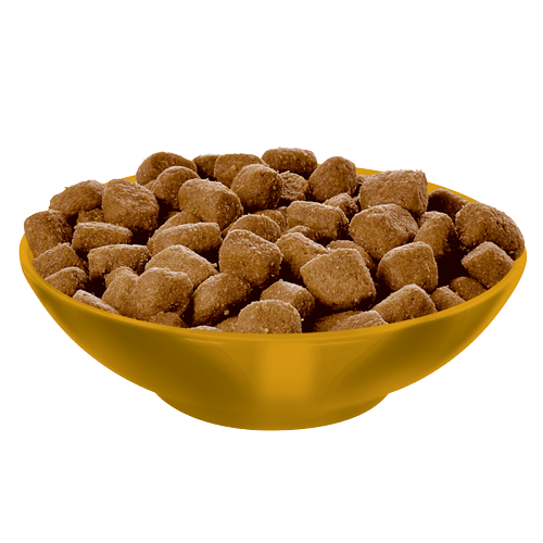 Hill's® Science Diet® Adult Oral Care Cat Food dry