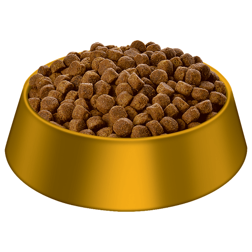 Hill's® Science Diet® Puppy Large Breed dry