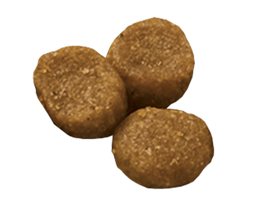 ha-canine-mature-adult-dry