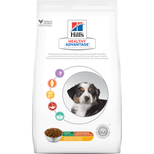 ha-puppy-large-breed-dry