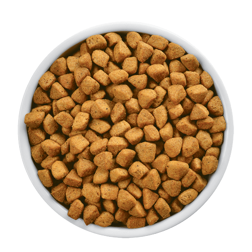 pd-metabolic-plus-urinary-feline-dry