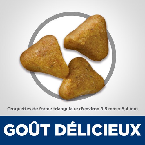 sd-feline-adult-urinary-hairball-control-dry